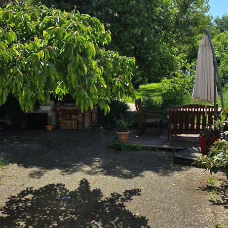 Appartement avec jardin à Colmar Extérieur photo