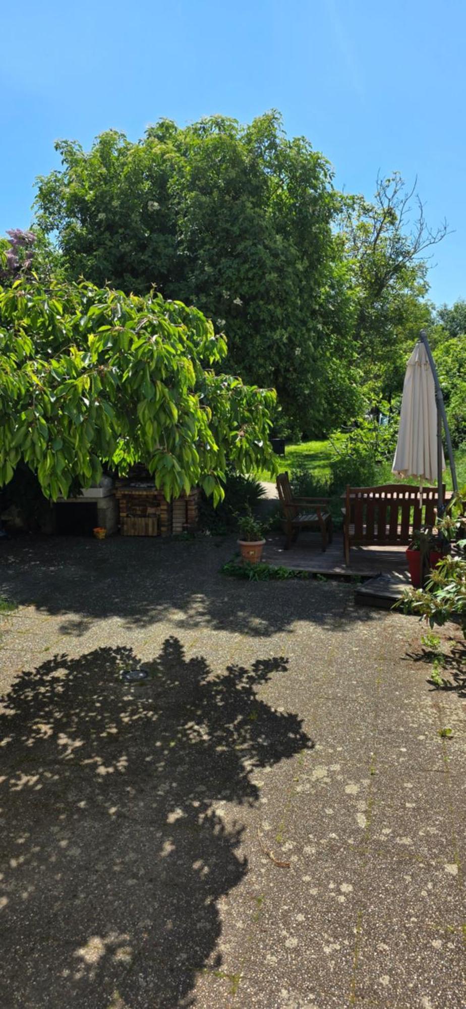 Appartement avec jardin à Colmar Extérieur photo